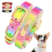 Glitter Personalized Dog Collar