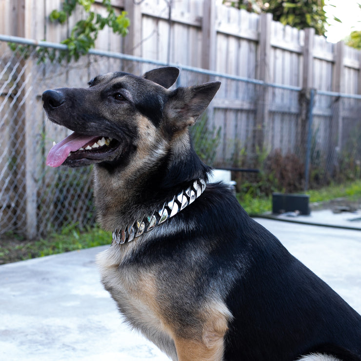 32MM Classic Silver Collar